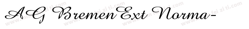 AG BremenExt Norma字体转换